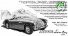 Austin-Healey 1954 1.jpg